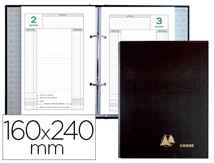 Recharge pour agenda perpétuel de caisse Exacompta - 24 x 16 cm - vert/gris