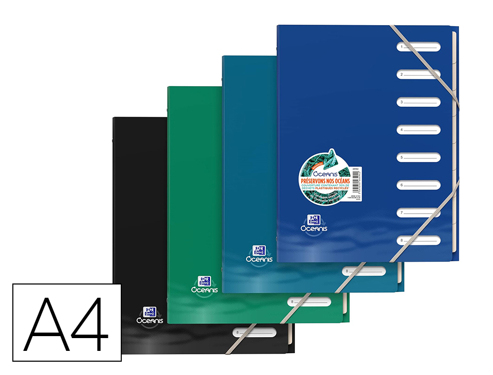PROTEGE-DOCS HAMELIN OXFORD SCHOOL LIFE OCEANIS           POLYPROPYLENE RECYCLE COULEUR ASSORTIES