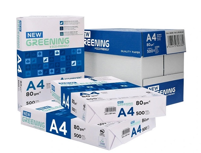 CARTON PAPIER 80GR/m 5x500F Greening