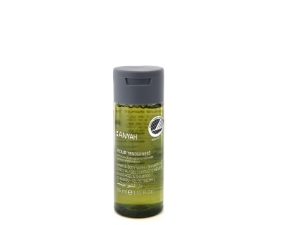 GEL CORPS ANYAH NORDIC ECOLABEL 46ML