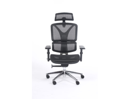 Fauteuil ergonomique Ergostar