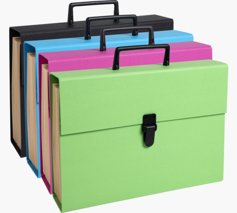 TRIEUR VALISETTE CONOMIQUE 20 COMPARTIMENTS - COULEURS ASSORTIES
