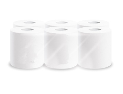 BOBINE DC 450FTS BLANC 2PLIS 20X24CM ECOLABEL X6