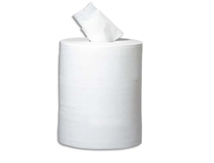 BOBINE DC 450FTS BLANC 2PLIS 20X24CM ECOLABEL X1
