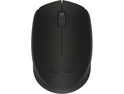Souris Logitech M171 noire