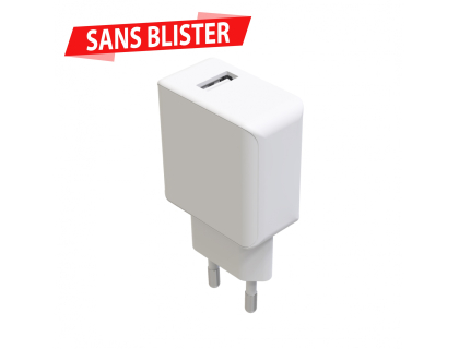 Chargeur Secteur 2,1A 5V 1 USB
