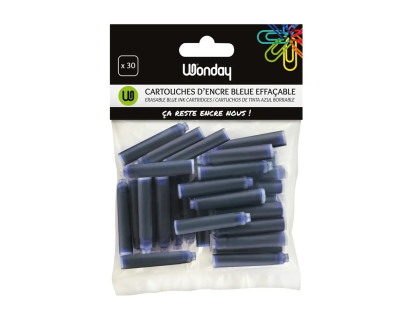 Cartouches d'encre bleu x30 - Wonday