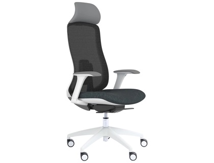 FAUTEUIL ERGONOMIQUE FEDO