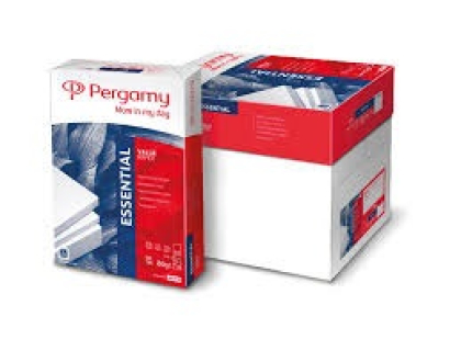 CARTON PAPIER 80GR/m 5x500F PERGAMY ESSENTIAL
